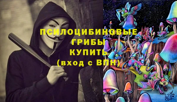 прущая мука Вязьма