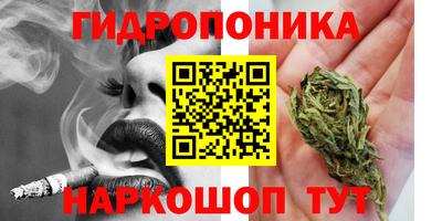 сатива Апшеронск