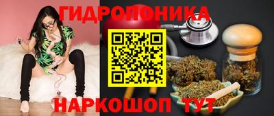 сатива Апшеронск