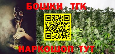 стаф Аргун
