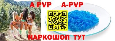 стаф Аргун