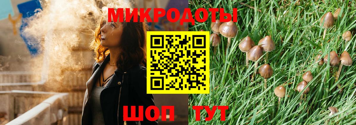 Псилоцибиновые грибы Magic Shrooms Богданович