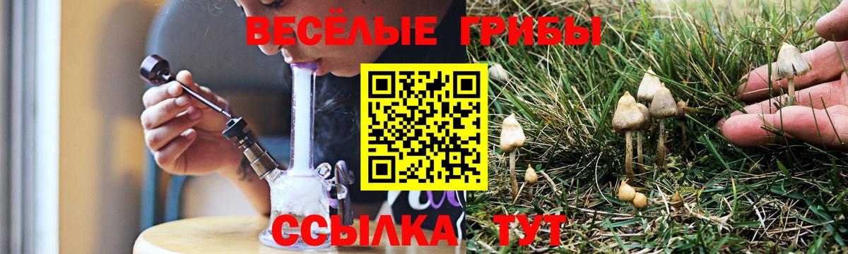 Псилоцибиновые грибы мицелий Богданович