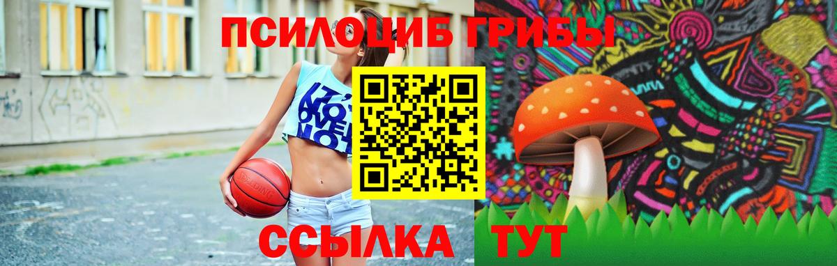 Псилоцибиновые грибы MAGIC MUSHROOMS  Вход с VPN  купить наркотики цена  Богданович  Псилоцибиновые грибы Psilocybine cubensis 